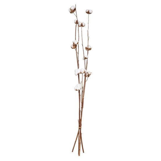 Fleurs séchées naturelles h100 cm