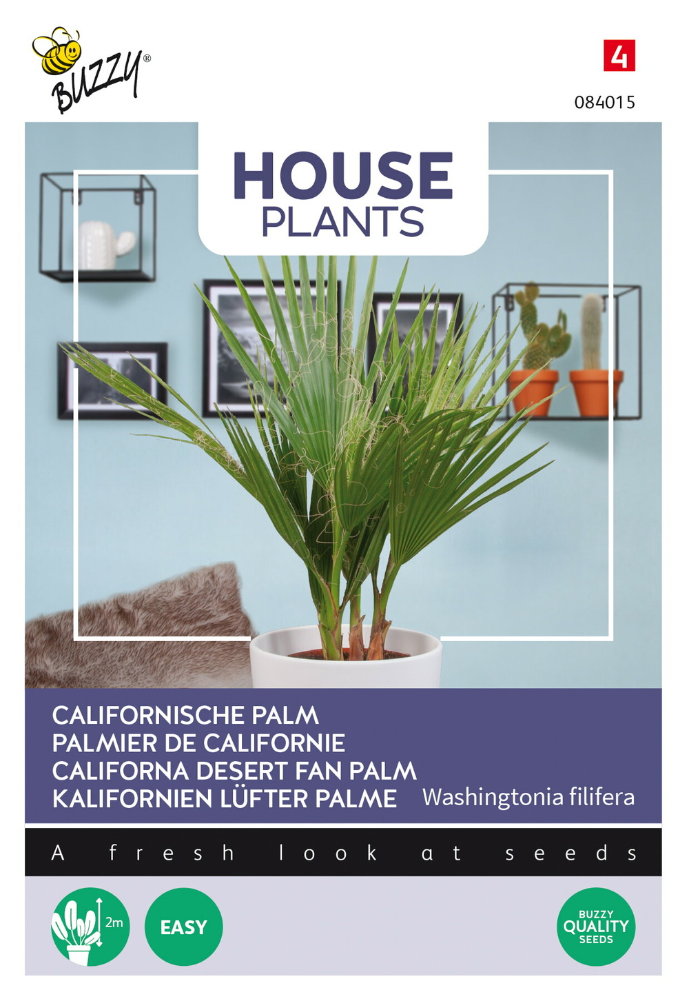 Buzzy house plants californian palm - ca. 1 gr