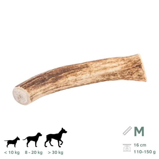 Bois de cerf pour chien m 110-150g