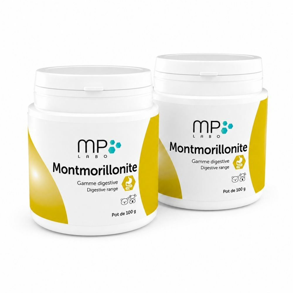 Montmorillonite - mp labo 2x100 g