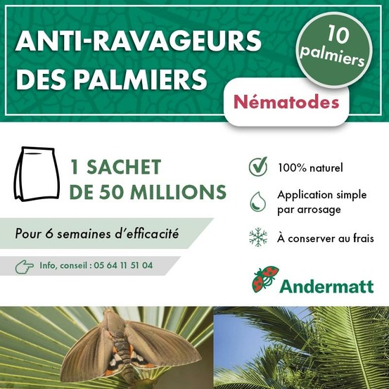Nématodes pour palmier 50 m