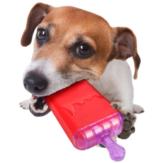 Jouet rafraîchissant lolly en tpr 16 cm pour chien