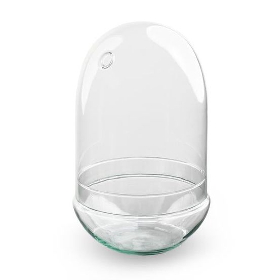 Bocal pour terrarium oeuf - h 30 cm