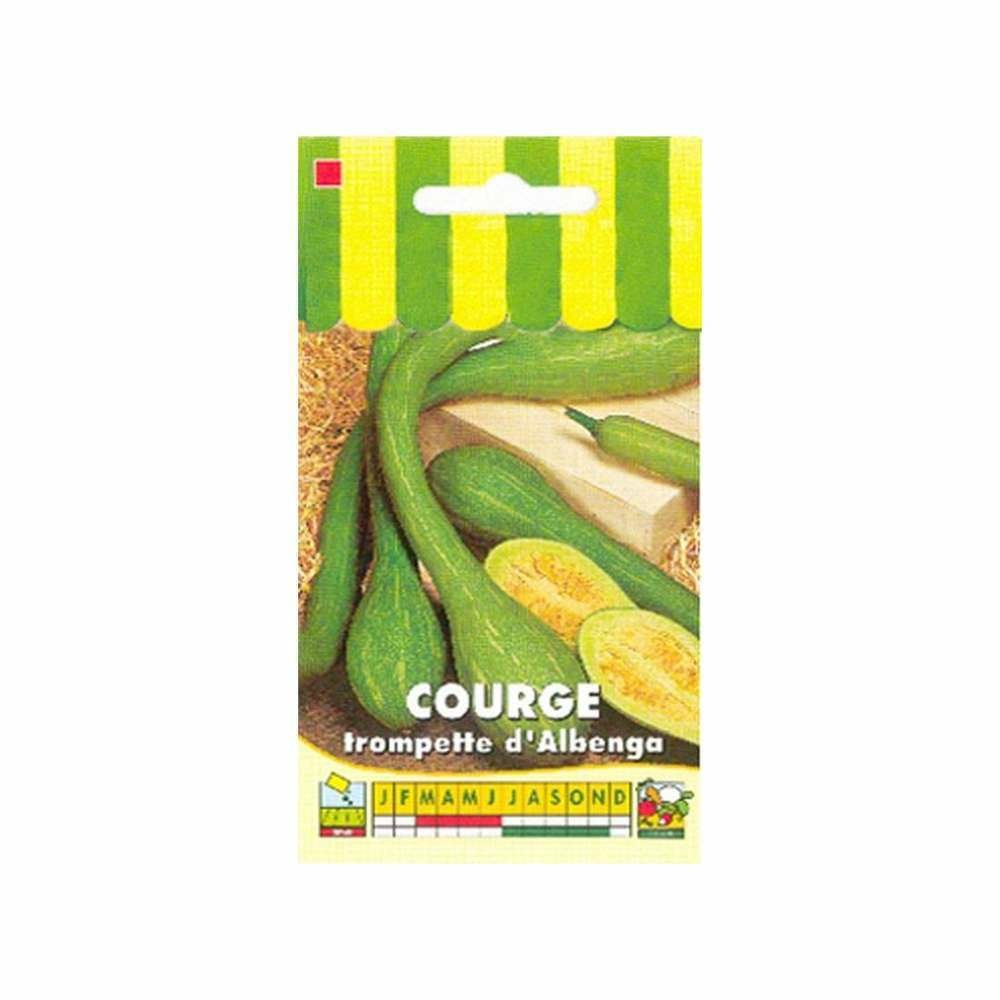 Courge Tromba d'Albenga