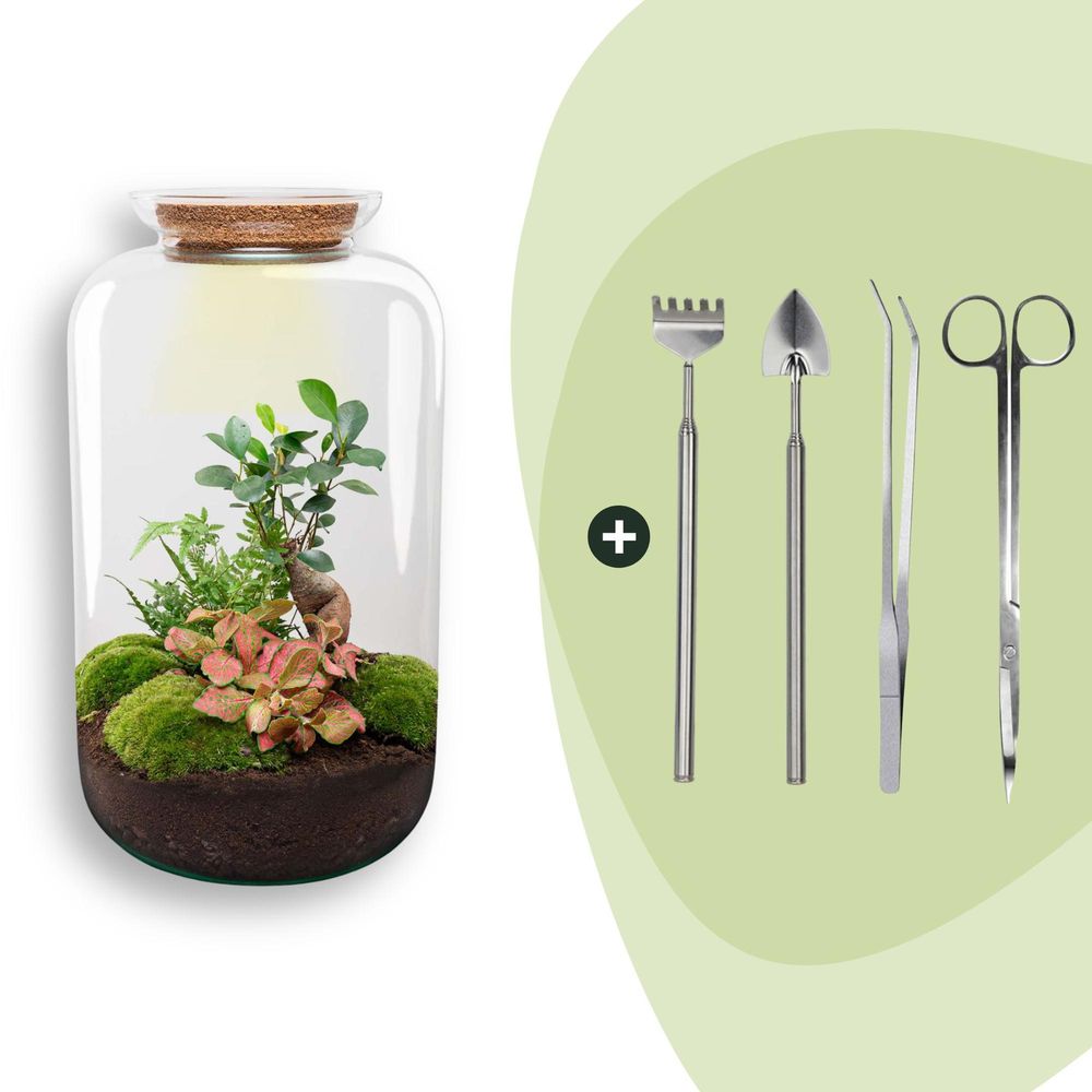 Diy terrarium - sven bonsai - h43 cm - ø43 cm - plantes d'intérieur - 43cm - réf 3715