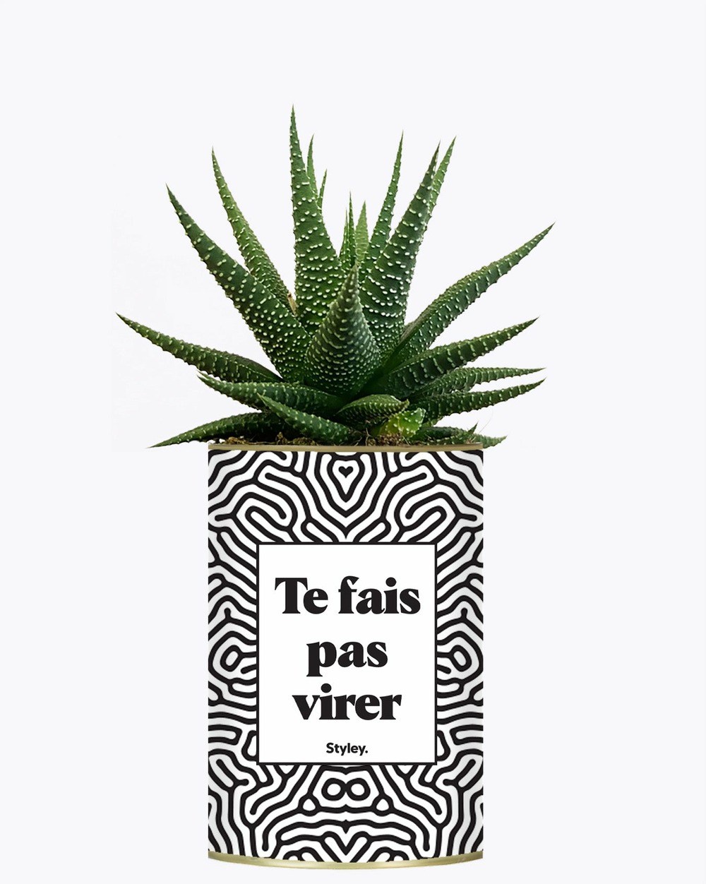 Plante personnalisée - te fais pas virer - cactus