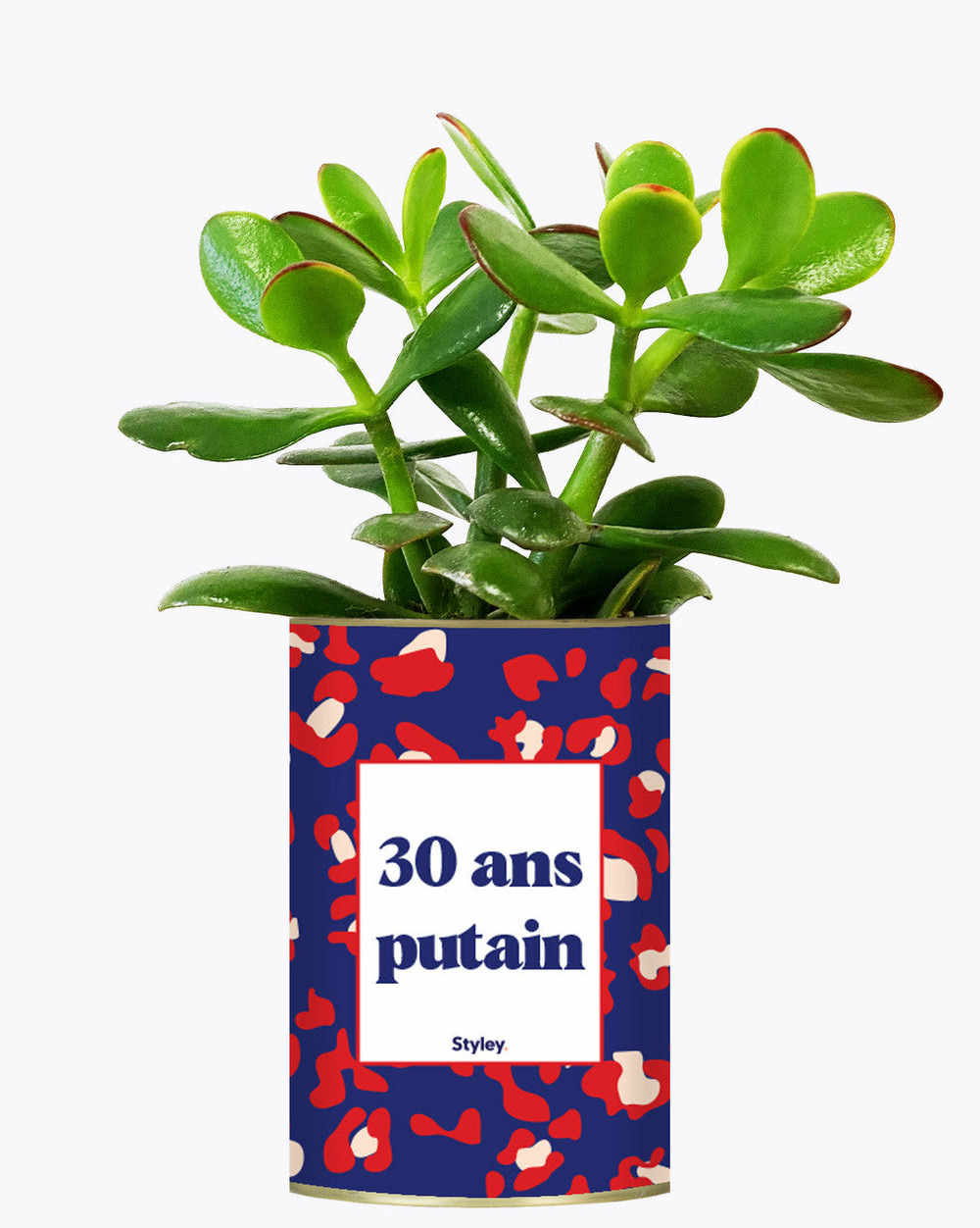 Plante à message - 30 ans putain - plante