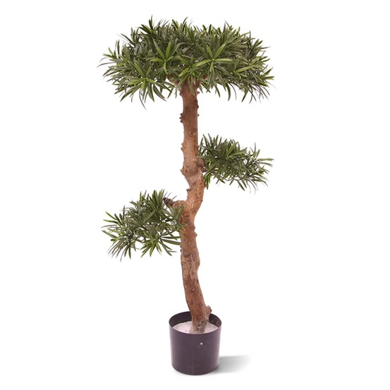 Arbre de podocarpus bonsaï artificiel uv de 105 cm