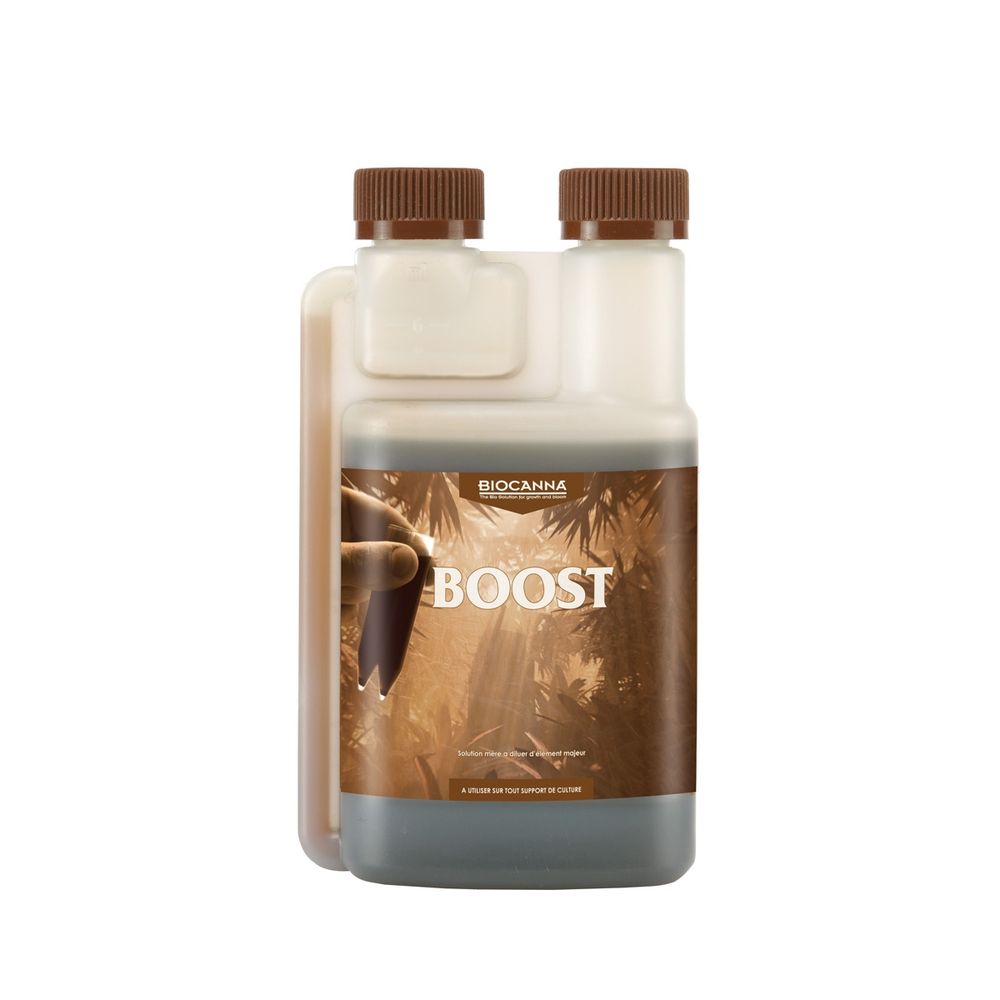Boost 250ml