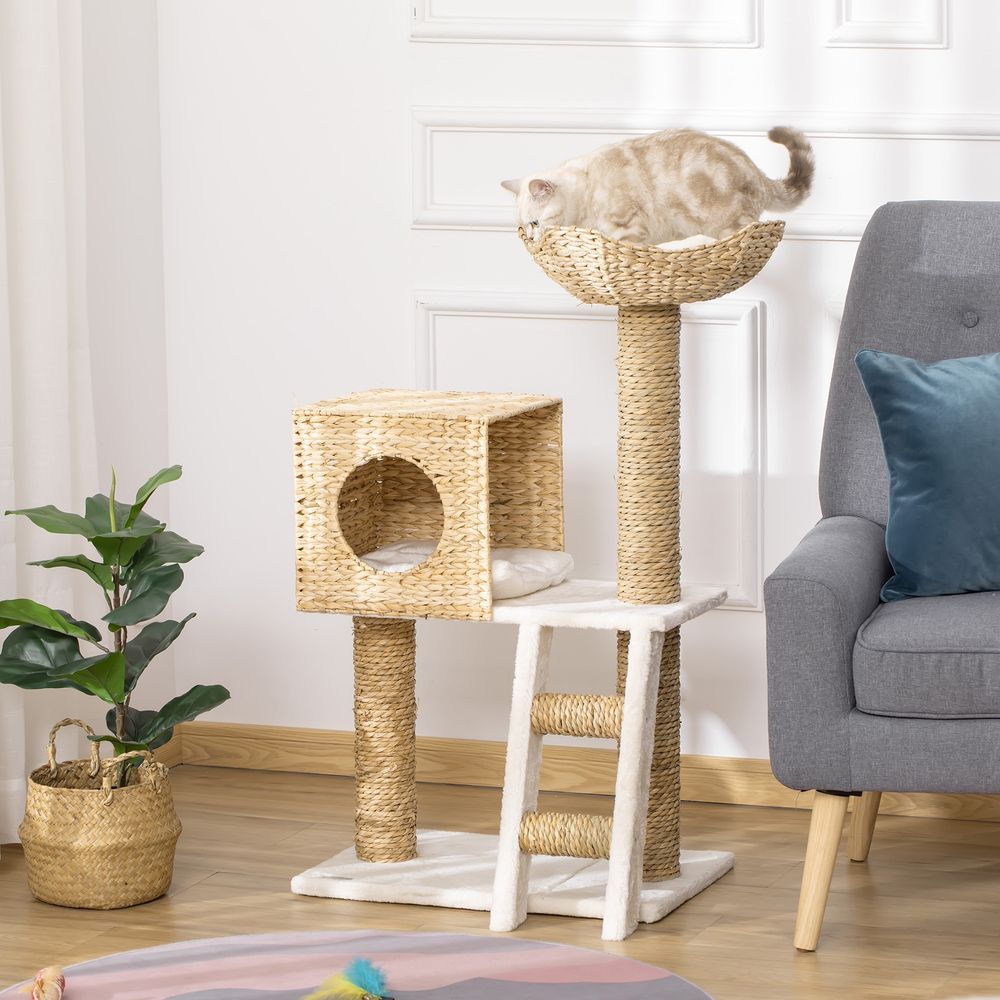 Arbre à chat arbre à grimper griffoir pour chat hauteur 100,5 cm avec coussins et échelle centre d'activités poteaux en quenouille
