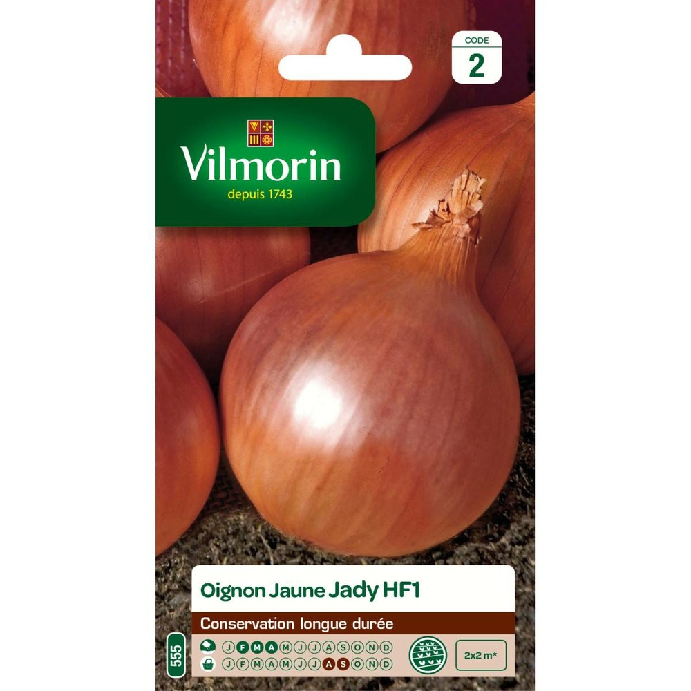 Sachet de graines oignon jaune jady hf1