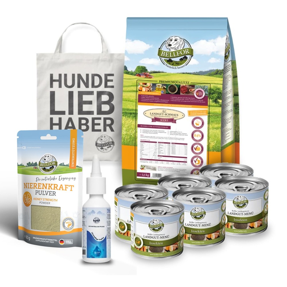 Kit de soins des oreilles pour les petits chiens souffrant d'allergies alimentaires