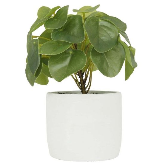 PILEA POT EFFET CIMENT 23CM-(815180)