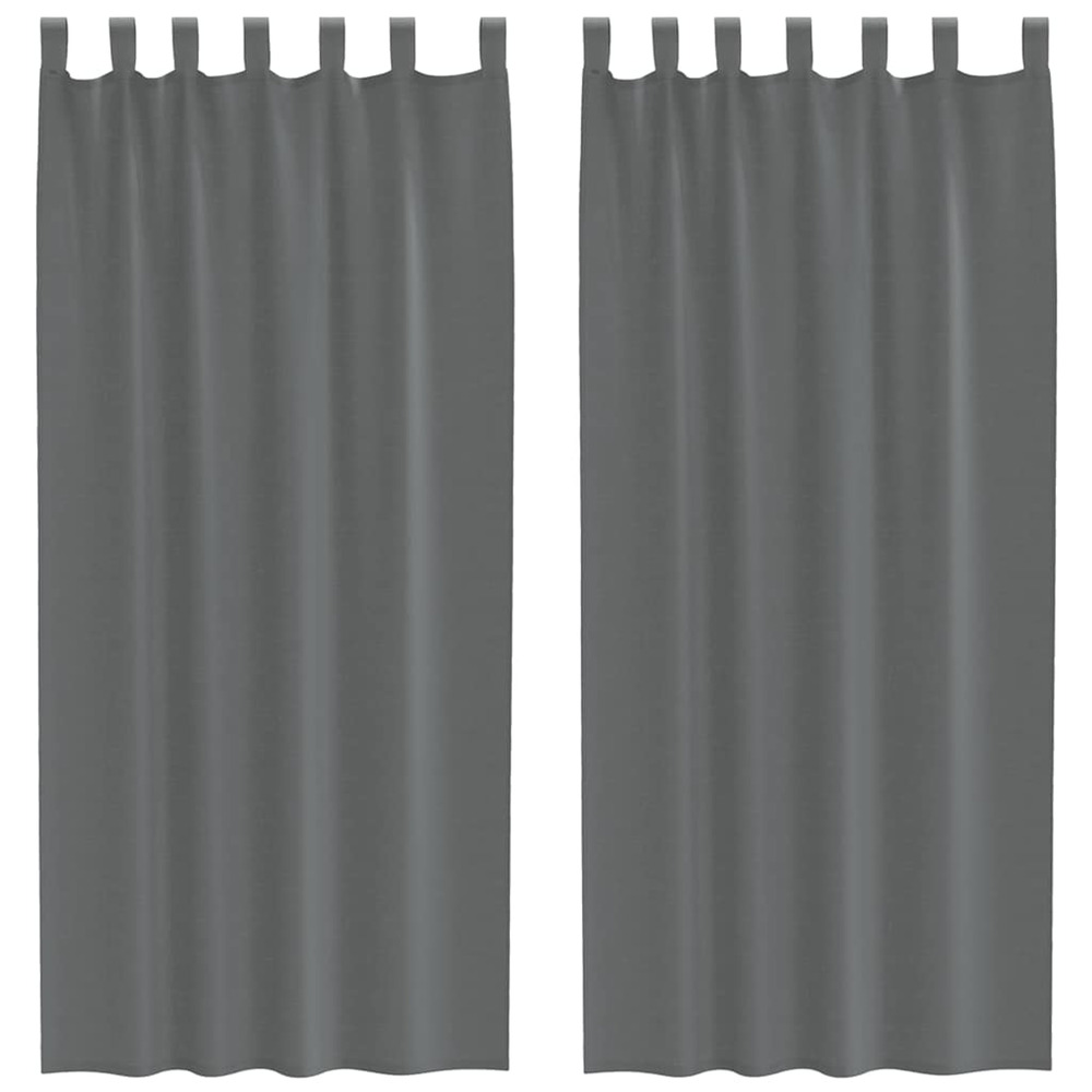 Rideaux en voile avec boucles 2 pcs gris foncé 140x245 cm