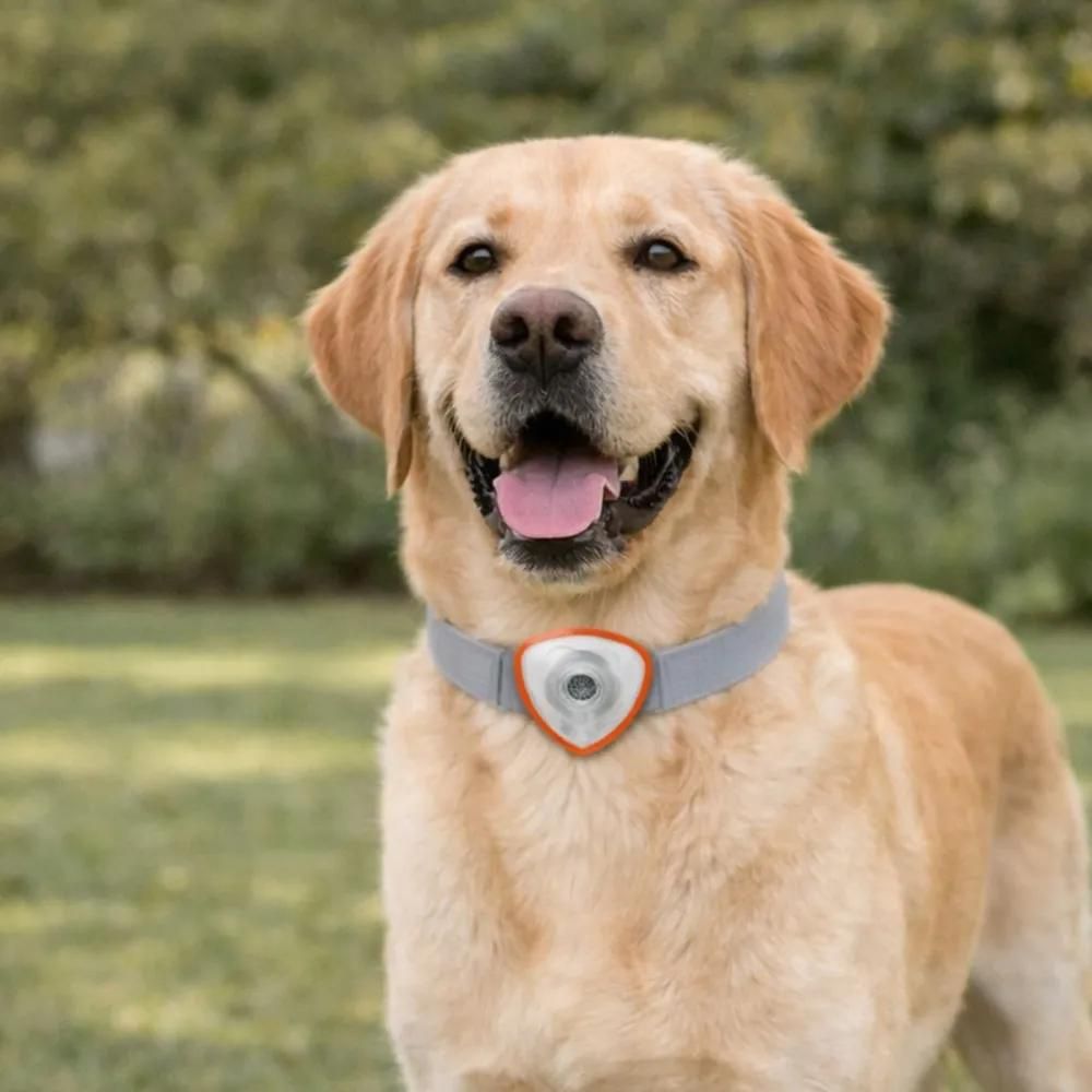 Répulsif électronique anti tiques et puces pour chien et chats noir
