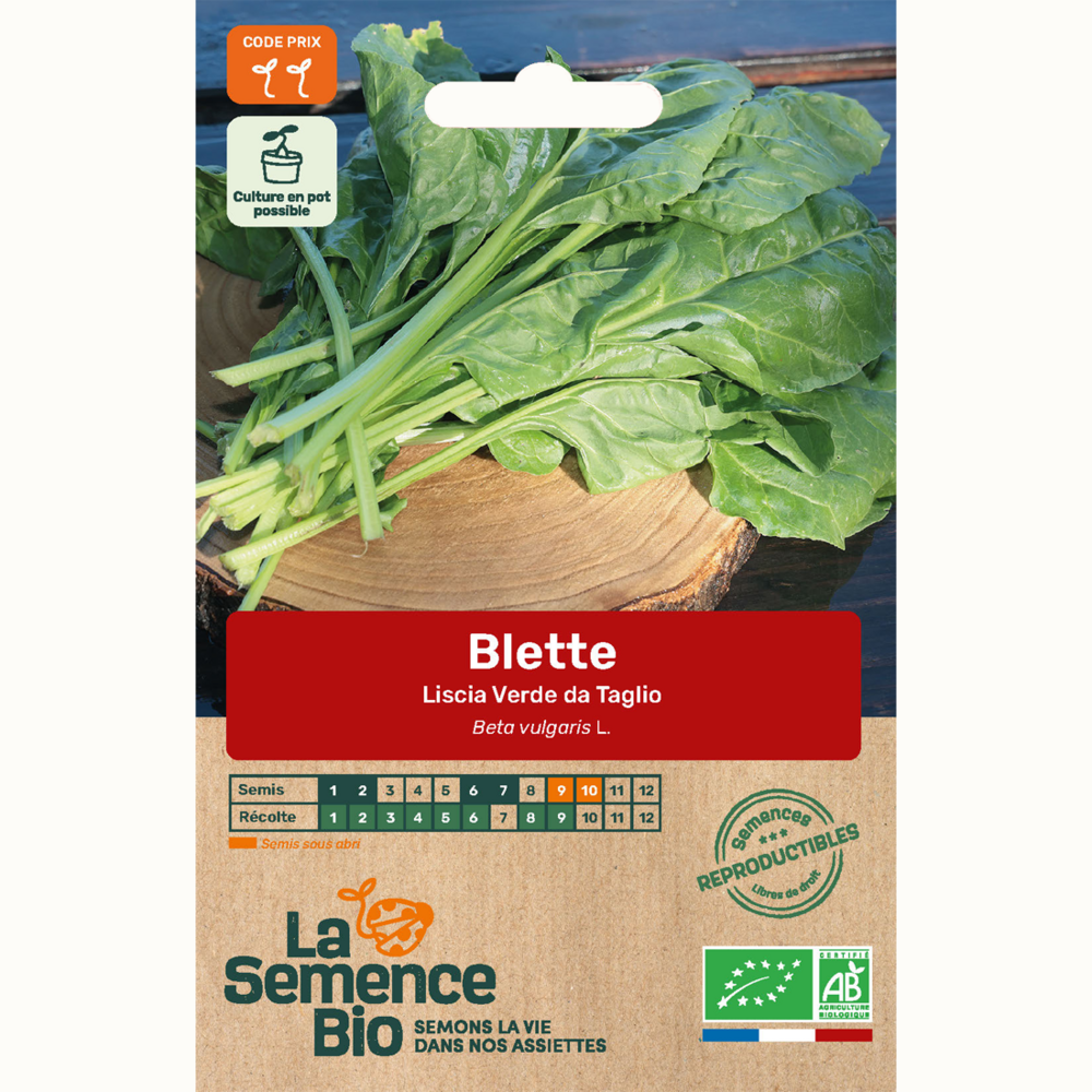 Blette liscia verde da taglio - graines bio