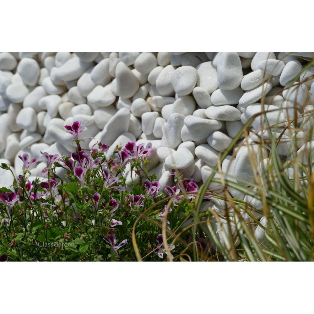 Galet blanc brillant 12-24 pack de 10 m² - 20 sacs - 400 kg