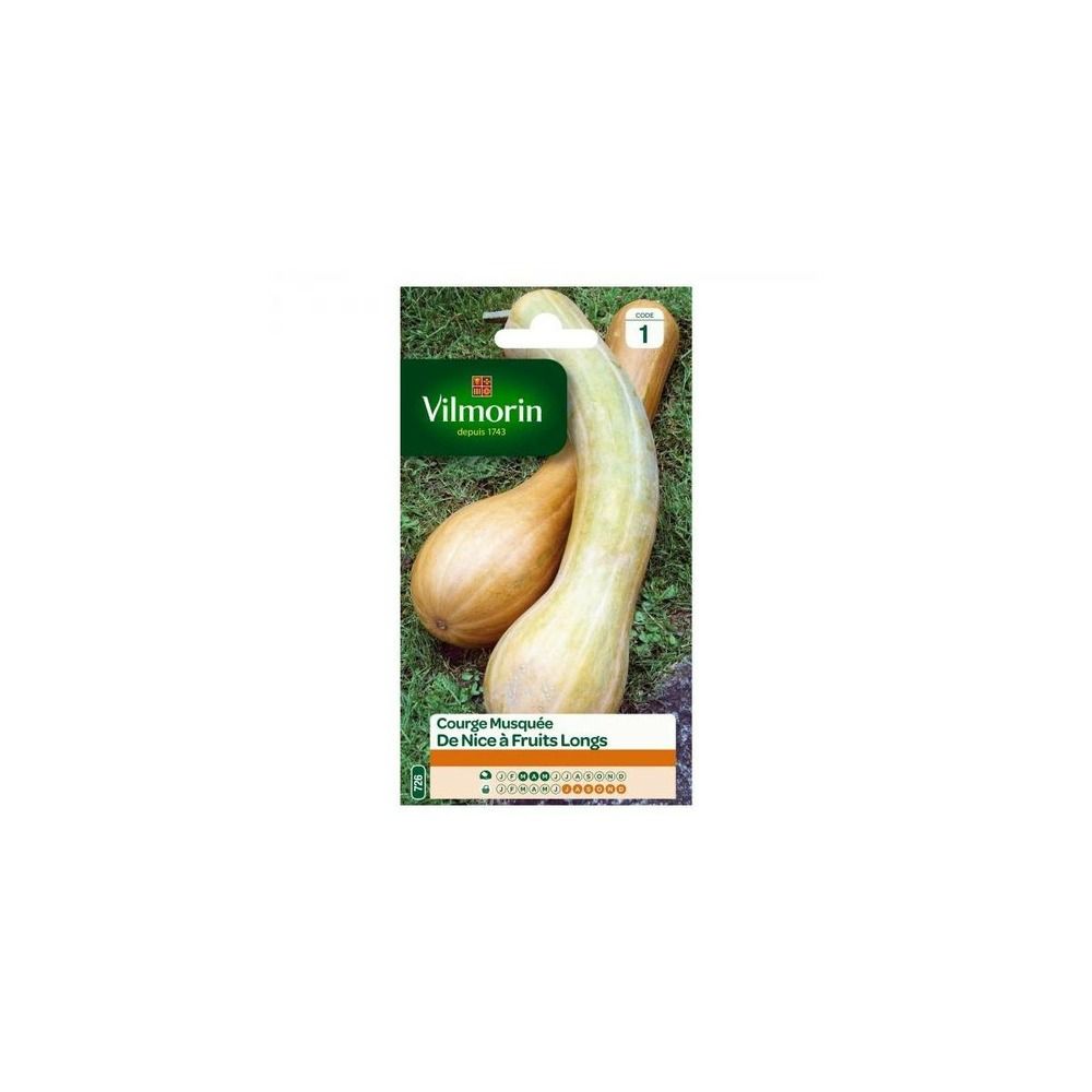 Sachet graines courge musquée de nice à fruits longs