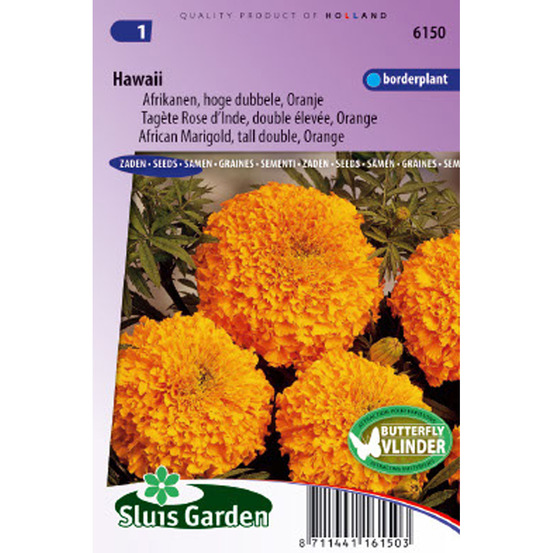 Graines de rose d'inde hawaï - tagetes erecta le sachet de 300 graines environ (1g)