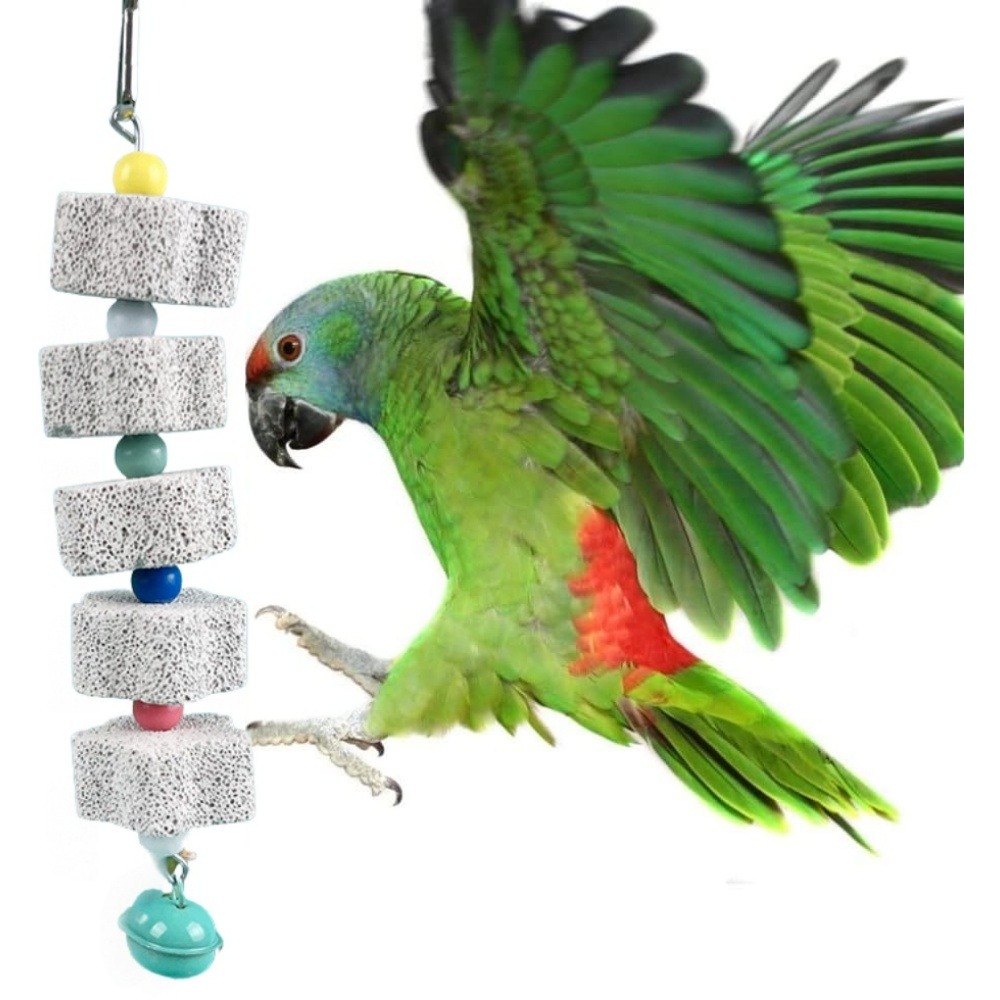 Jouet mâcher perroquet lot 2 avec cloche