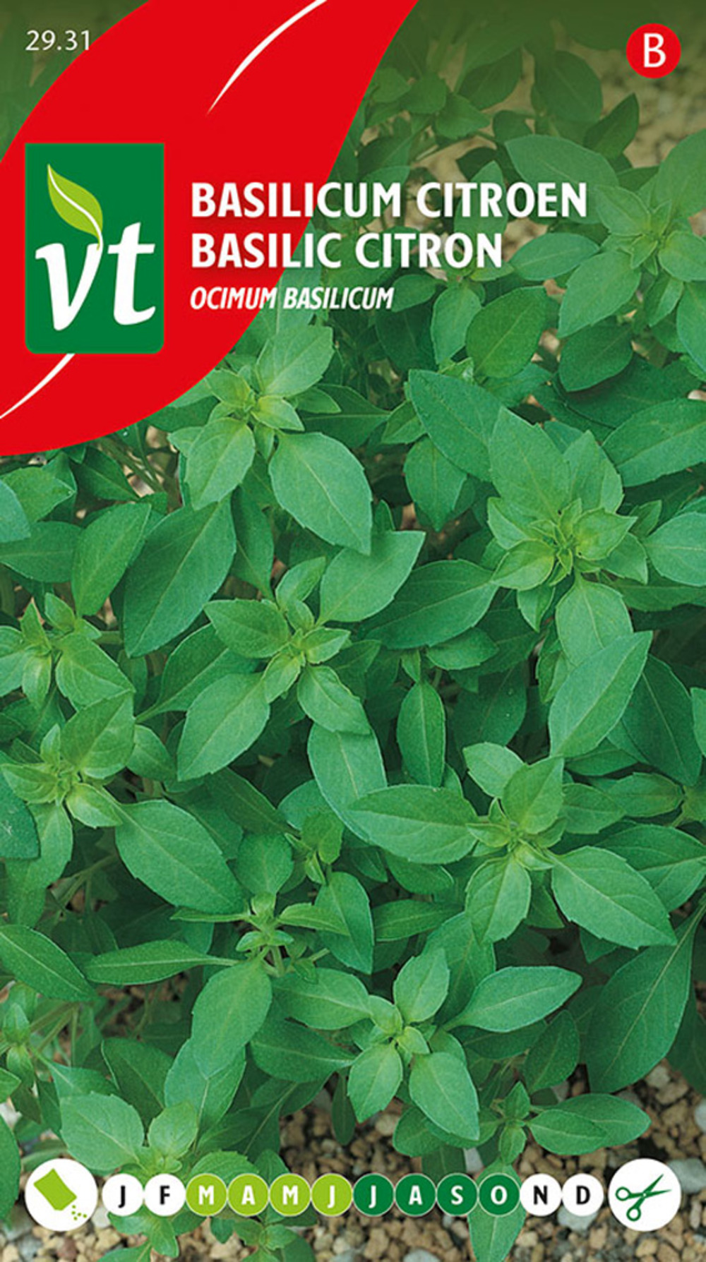 Basilic citron - ca. 0,75 gr (livraison gratuite)