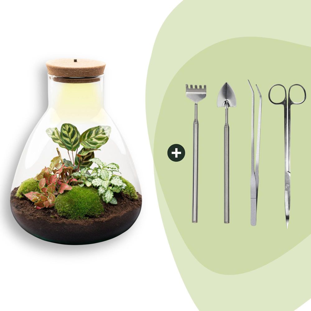 Terrarium à composer bouteille en verre recyclé - ø24-h30cm - avec kit 4 outils - bouchon led - terrarium diy
