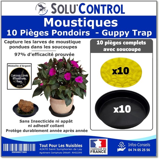 10 guppy trap + 10 coupelles, piège pondoir à moustiques, sans produit, sans adhésif, médaille d'argent concours lépine 2023