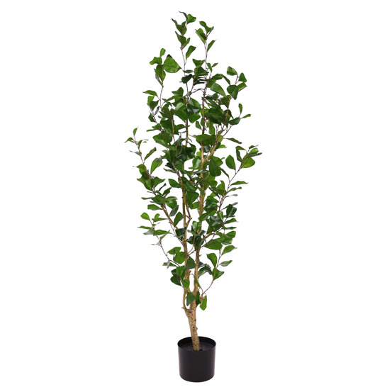 Ficus triangularis artificiel 150cm