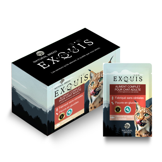 X12 effiloché en sauce au saumon pour chat – alimentation humide complète sans céréales (pâtée chat adulte & stérilisé) – exquis