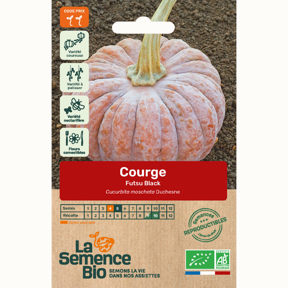 Courge futsu black - graines bio