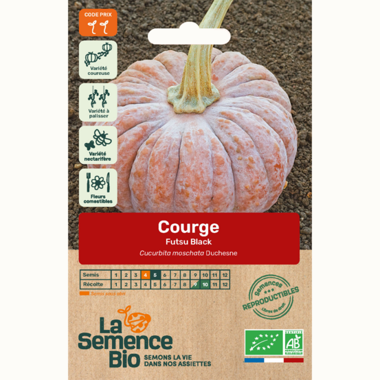 Courge futsu black - graines bio