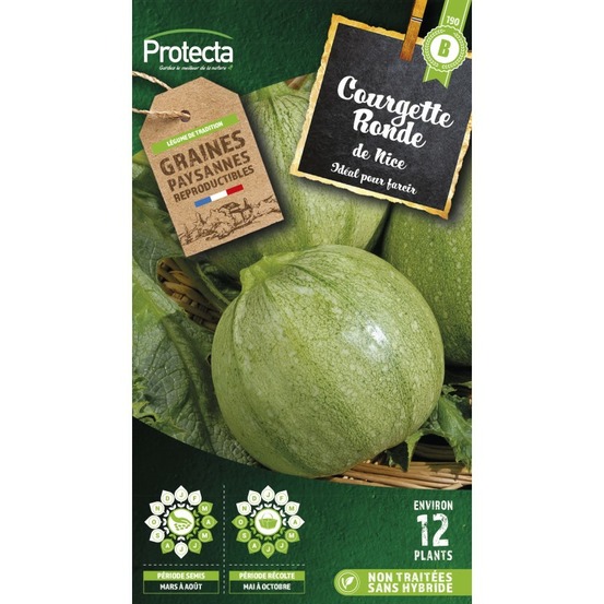 Graines paysannes - courgette de nice à fruit rond