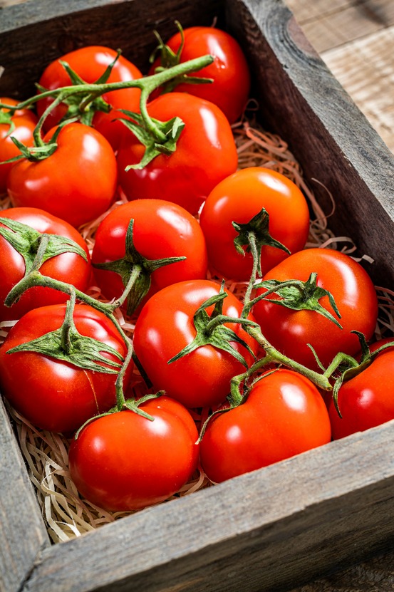 Sachet de graines de tomate merveille des marchés - sachet de 1 gramme - petite entreprise française