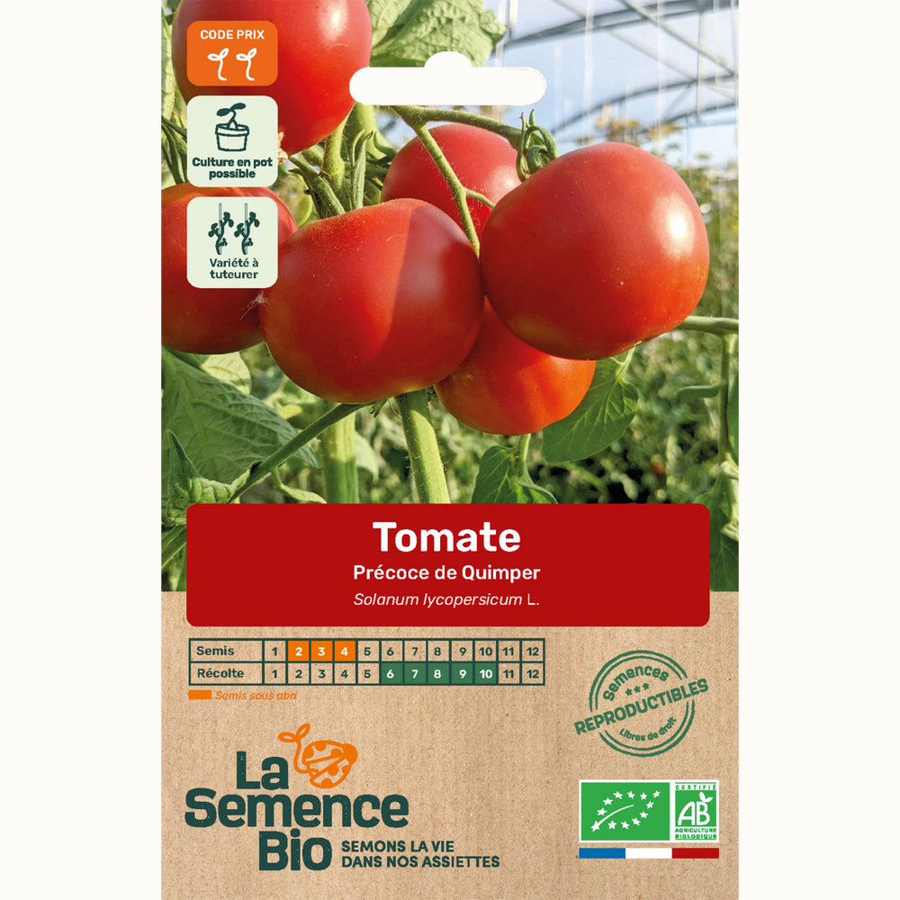Tomate précoce de quimper - graines bio