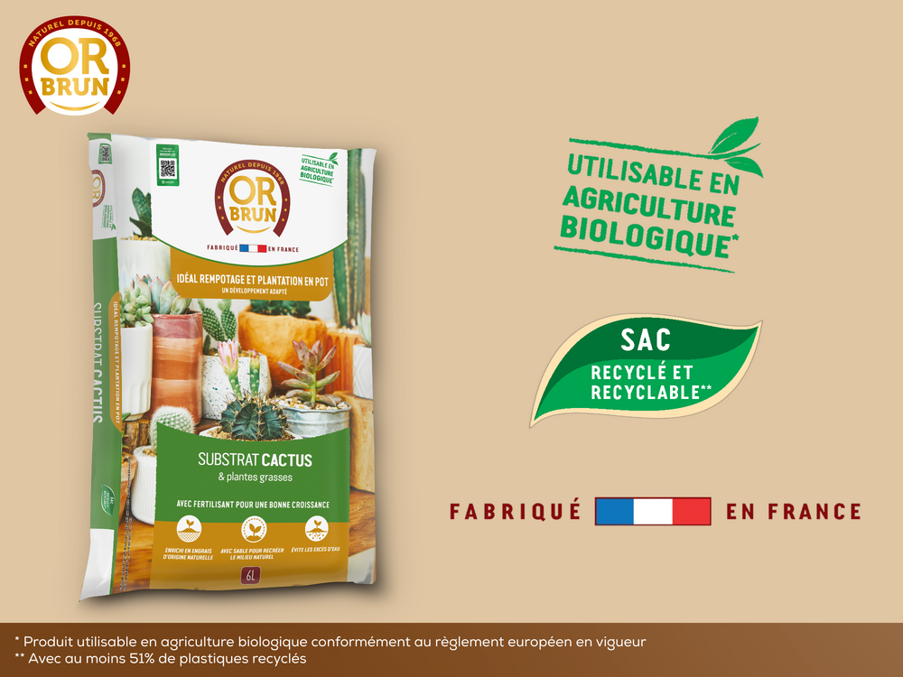 Obrtcac6u -substrat cactus & plantes grasses - 6l -favorise la croissance |  Truffaut