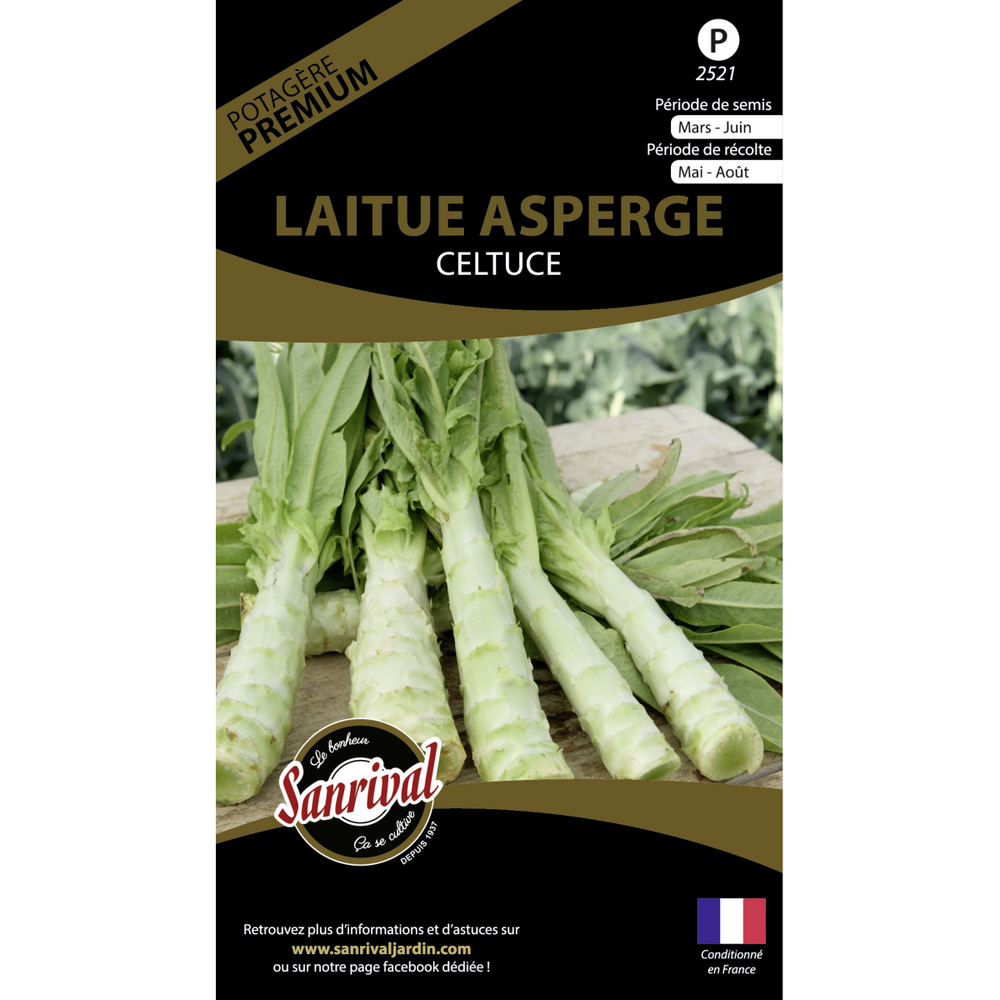 Graines potagères premium laitue asperge