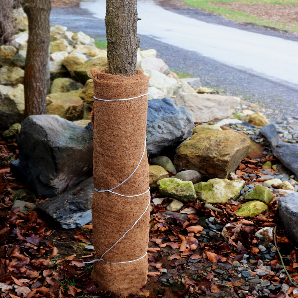 Bache Plantation Floordirekt Tapis De Remblai Nature - Protection Contre L'érosion Pour Les Travaux De Jardinage - Jusqu'à 20 M - Filet De Remblai - Sécurité Anti-pente - Fibres Naturelles En Coco
