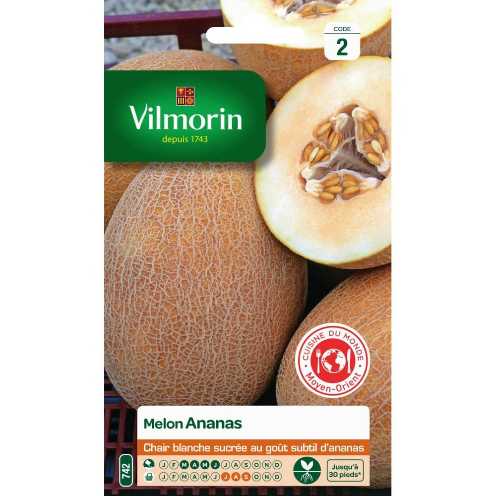 Sachet graines melon ananas