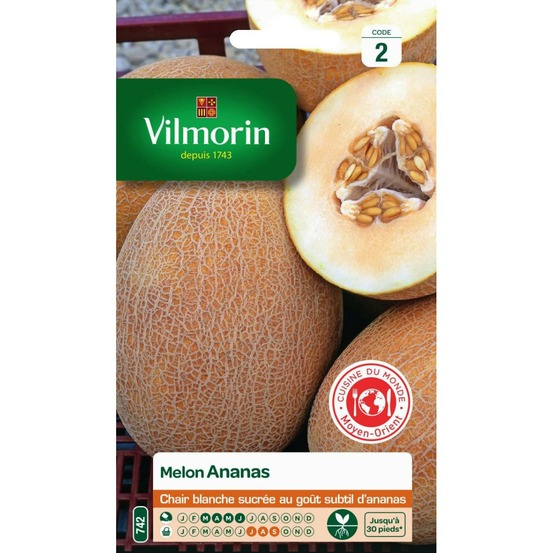 Sachet graines melon ananas