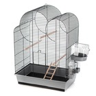 Cage à oiseaux avec accessoires eliza 54x34x75cm gris et noir