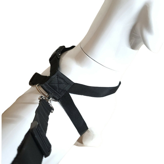Harnais de sécurité taille m pour chien en voiture