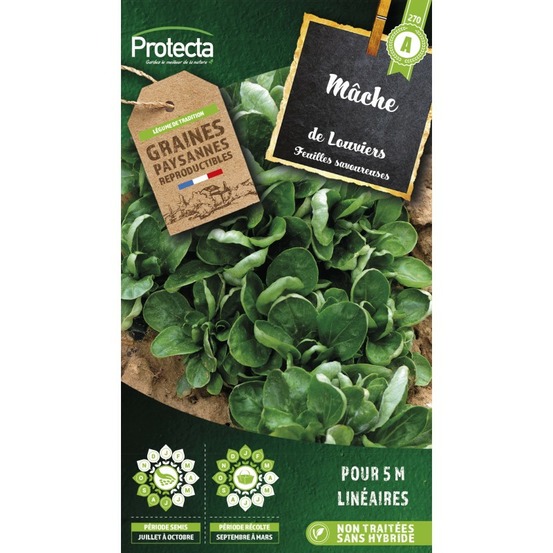 Graines paysannes - mâche coquille de louviers