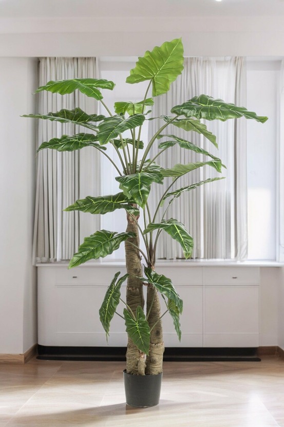 Alocasia plante artificielle - h180cm, ø15cm