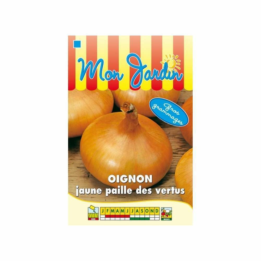 Graines d'oignon jaune paille des vertus gros grammage