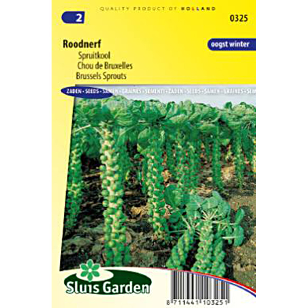 Chou de bruxelles 'roodnerf' le sachet de 500 graines environ (2g)