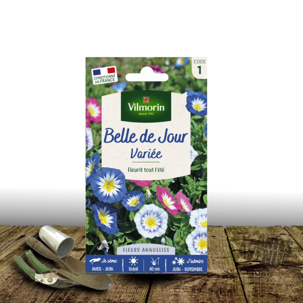 Graines de belle de jour - vilmorin sachet