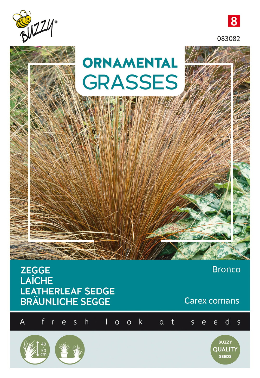 Buzzy ornamental grasses, laîche 'bronco' - ca. 10 graines