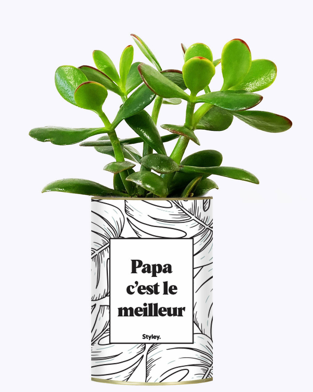 Idée cadeau - papa c'est le meilleur - cactus