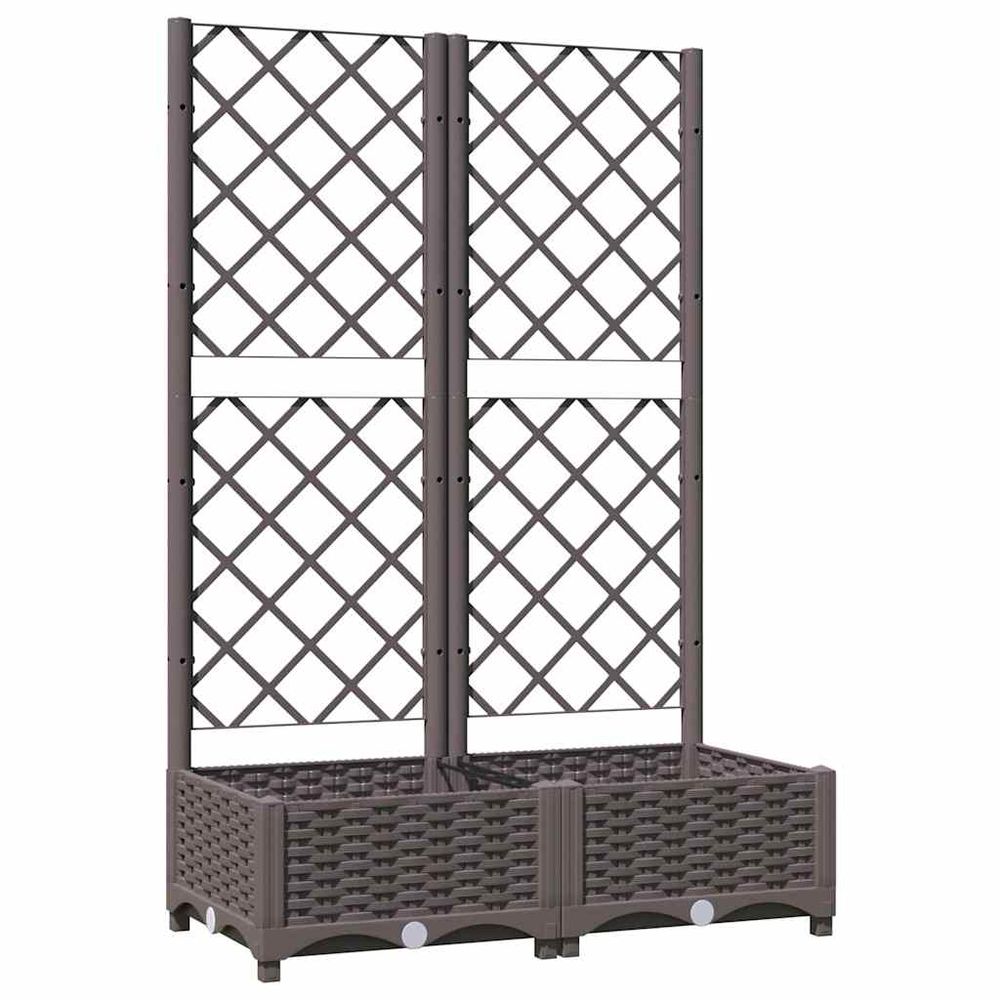 Jardinière avec treillis marron 80x40x121,5 cm pp