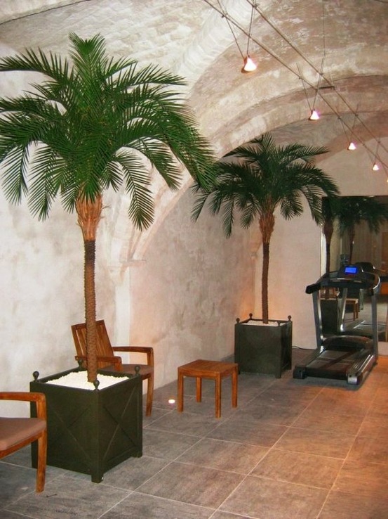 Palmier phoenix artificiel deluxe od 300cm